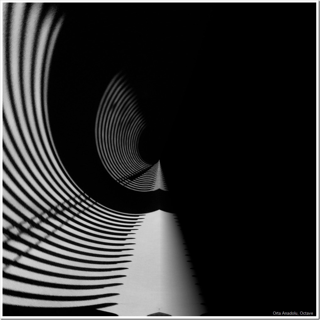 OCTAVE1_thumb