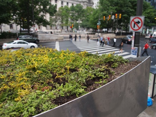 Philly-Bus-Green-Roof-8-537x402