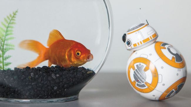 Sphero BB8 hero-650-80