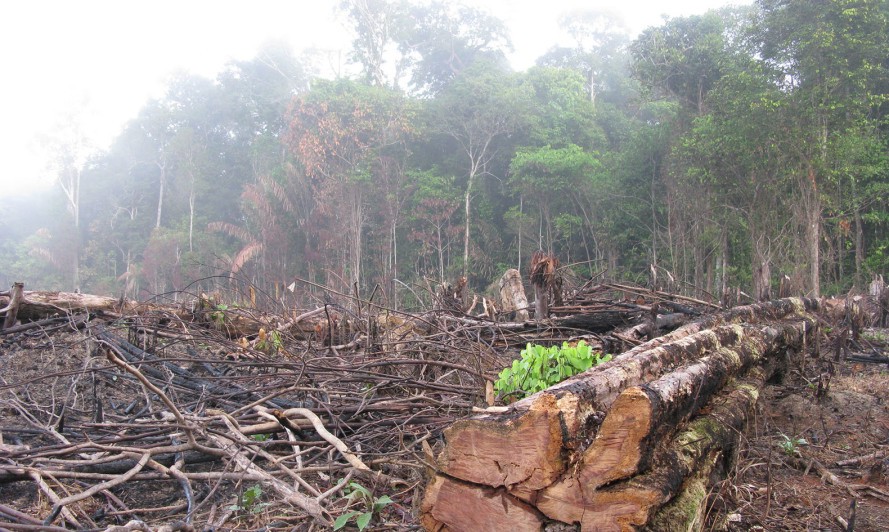 amazon-deforestation01-889x532