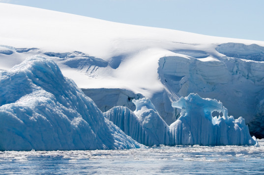 antarctic