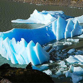 artic