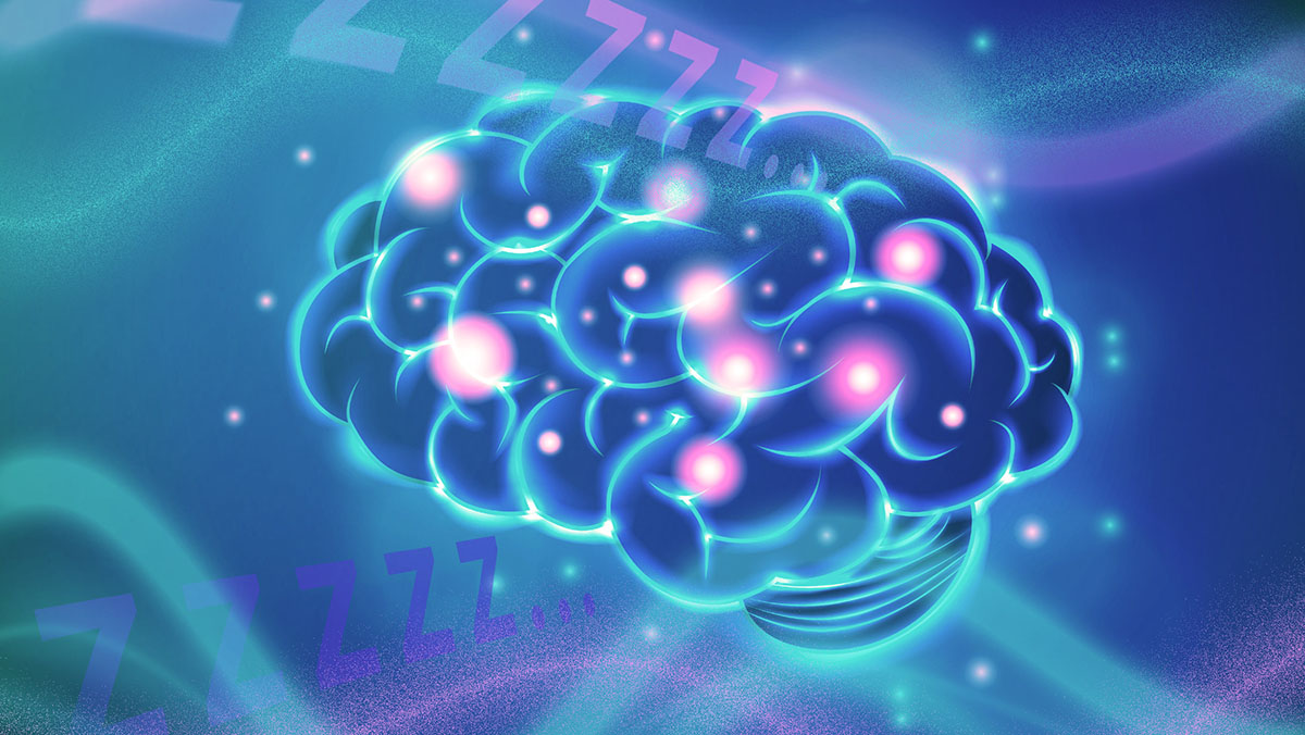 brain-sleep-2015-10-14-01