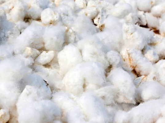 cotton-farming-1