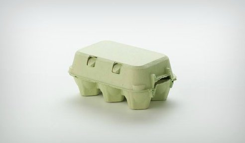 egg-carton.png.492x0_q85_crop-smart