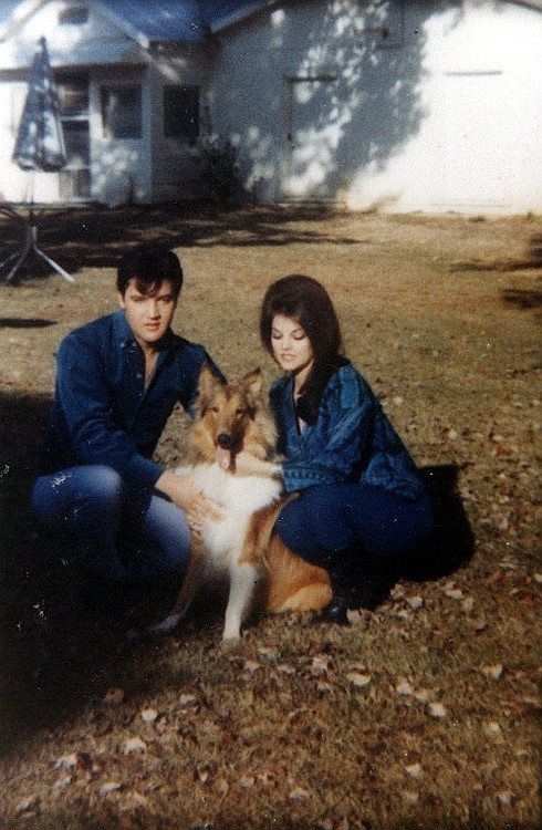 elvis3