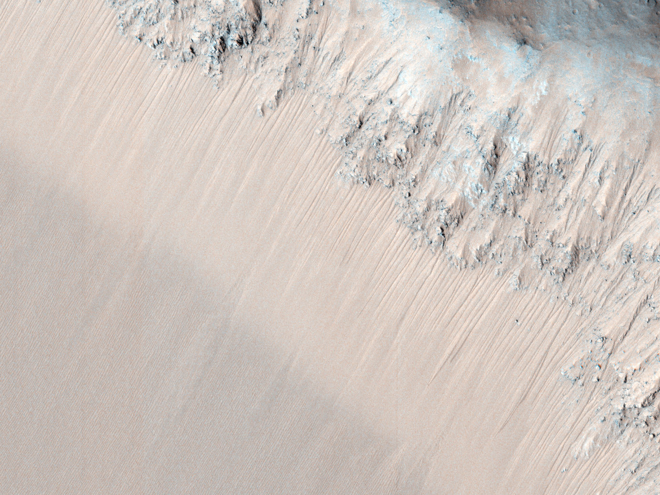 esp_030373_1755-4208a4d7882165185e589d3cd0e50e2e4059496e-s1300-c85