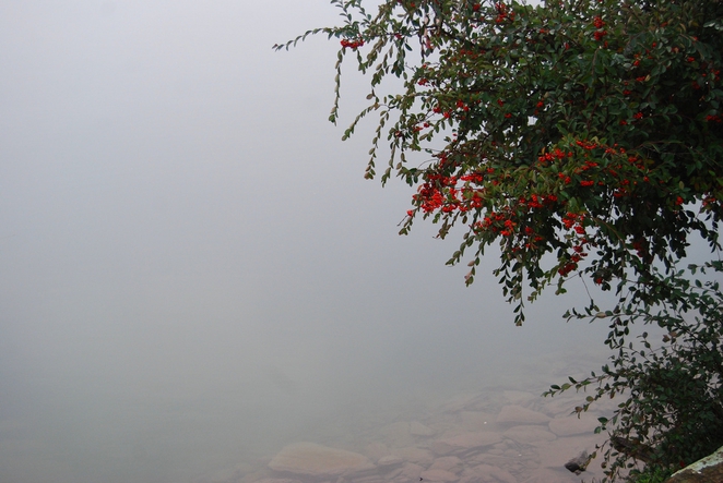 fog