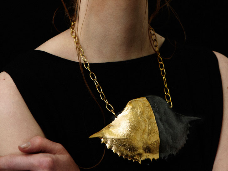 fossil2