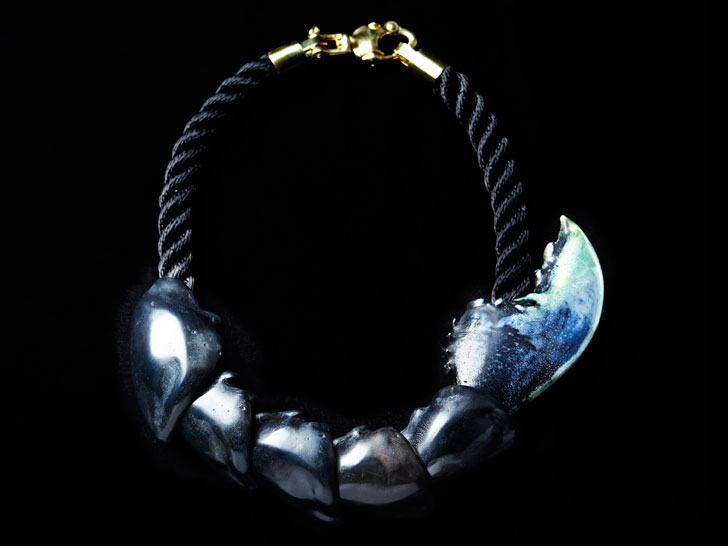 fossil4