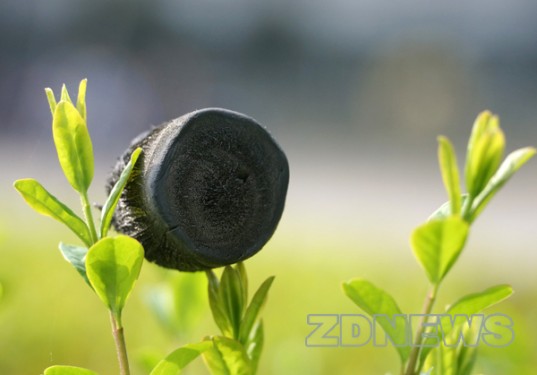 graphene-aerogel-2-537x375