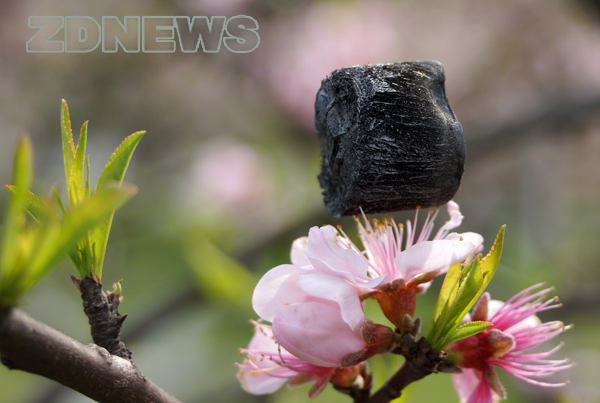 graphene-aerogel-4