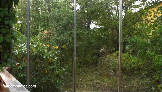 greenhouse_07_sm