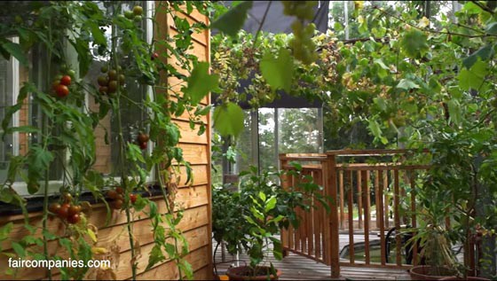 greenhouse_11_sm