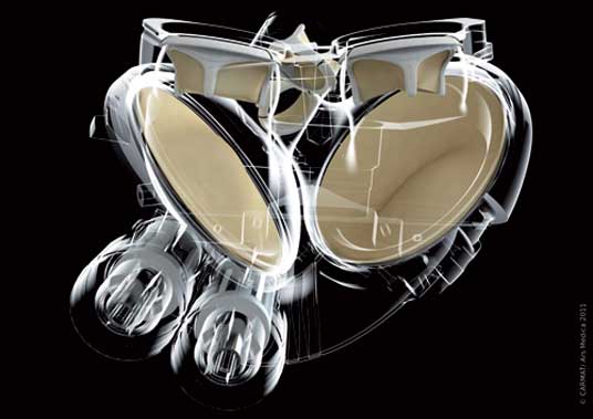 heart