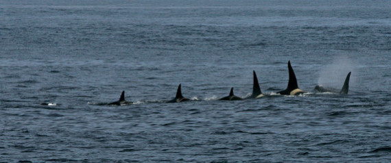 Bering Sea