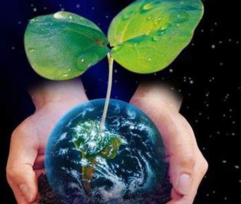 low-carbon-economy