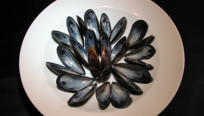 mussels