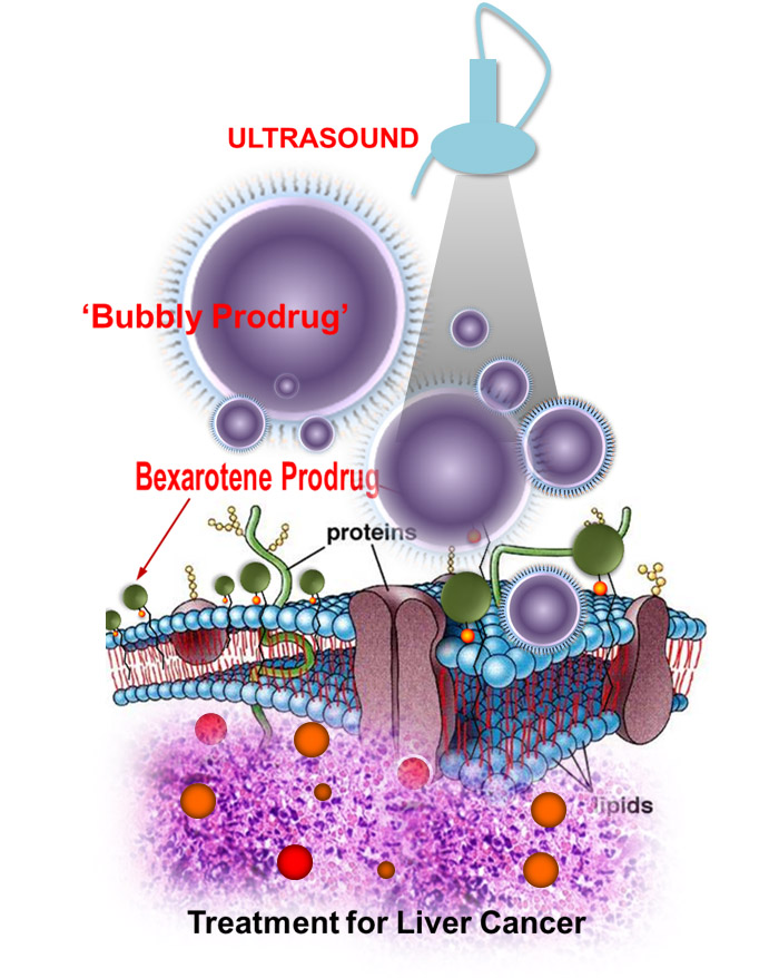 nanobubble-drug-2015-12-08-01