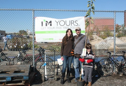 nyrp-free-trees