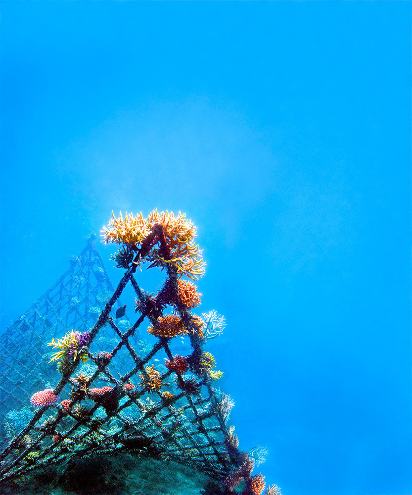 ocean