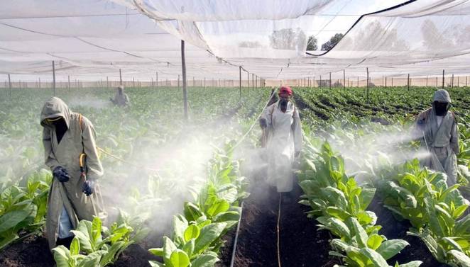pesticide-spra