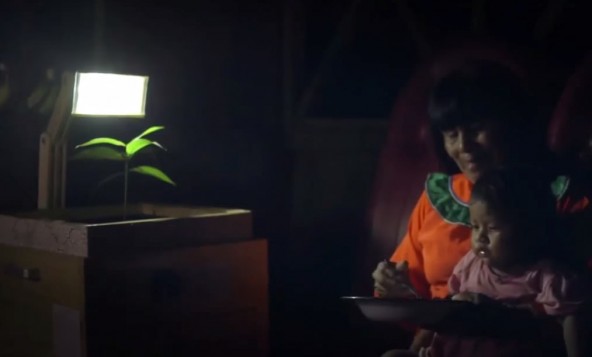 plant-lamp-592x357