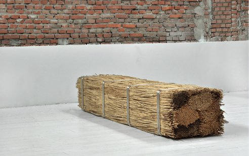 reed-bench