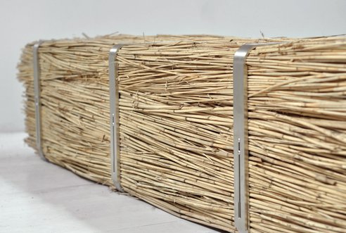 reed-detail