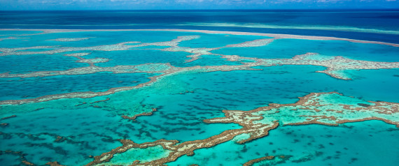 reef