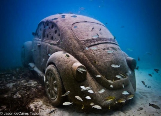 reef