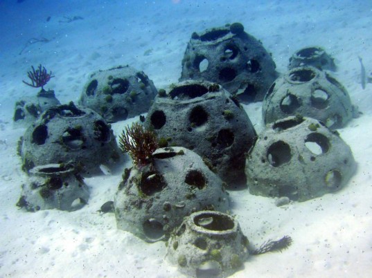 reefball1