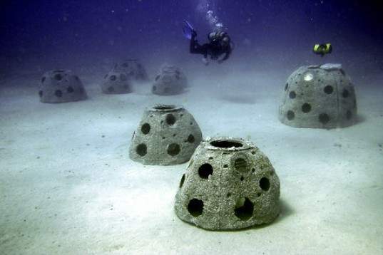 reefball2