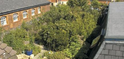 rooftop-forest-garden