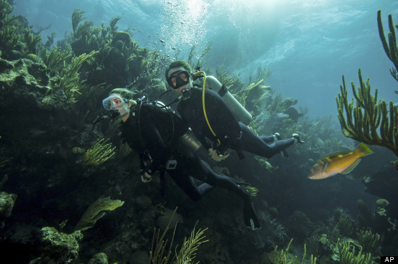 Philippe Cousteau, Ashlan Gorse