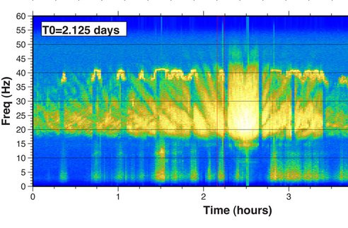 seismic-whale_calls-lrg.jpg.492x0_q85_crop-smart