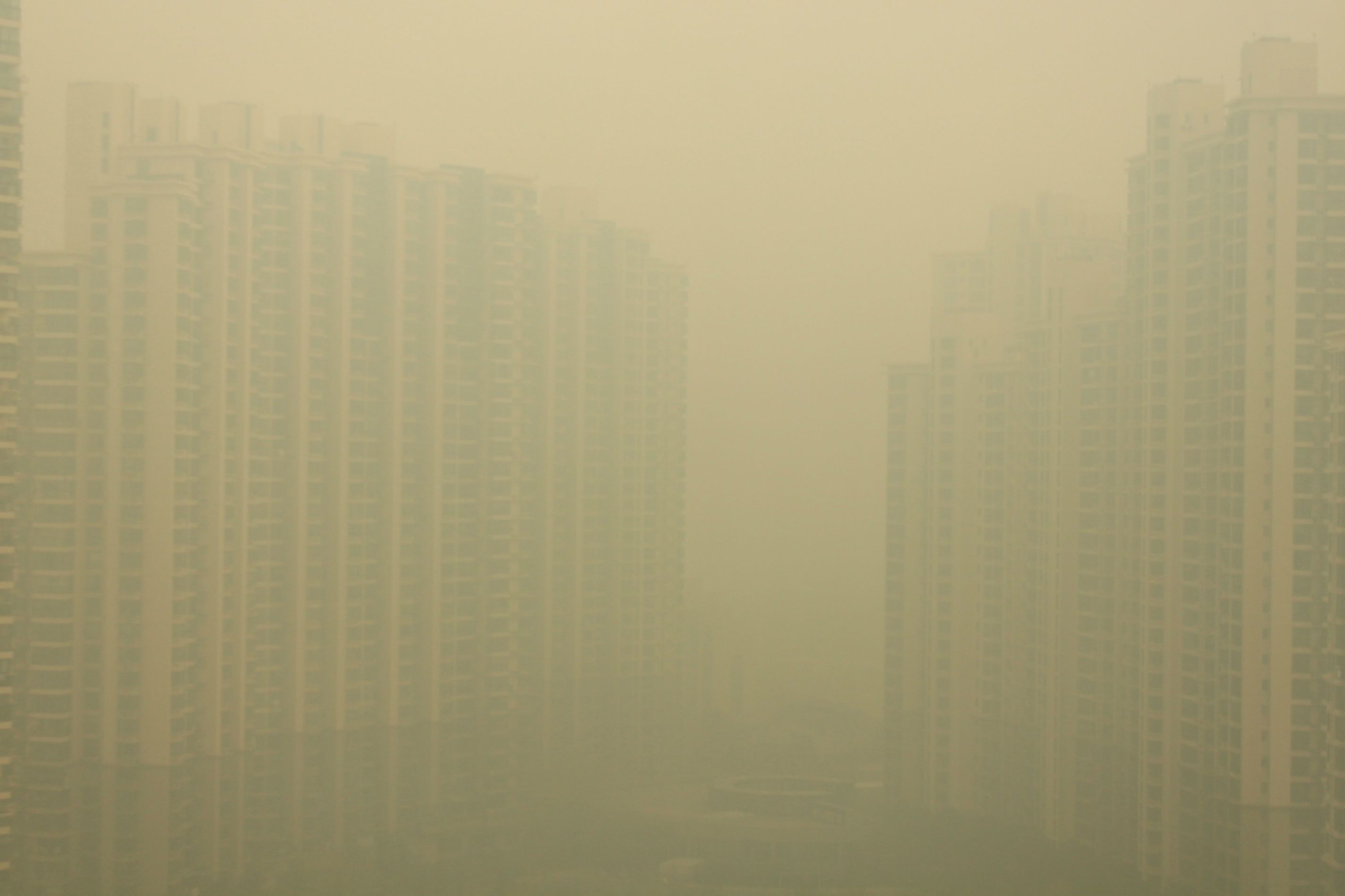shanghai2