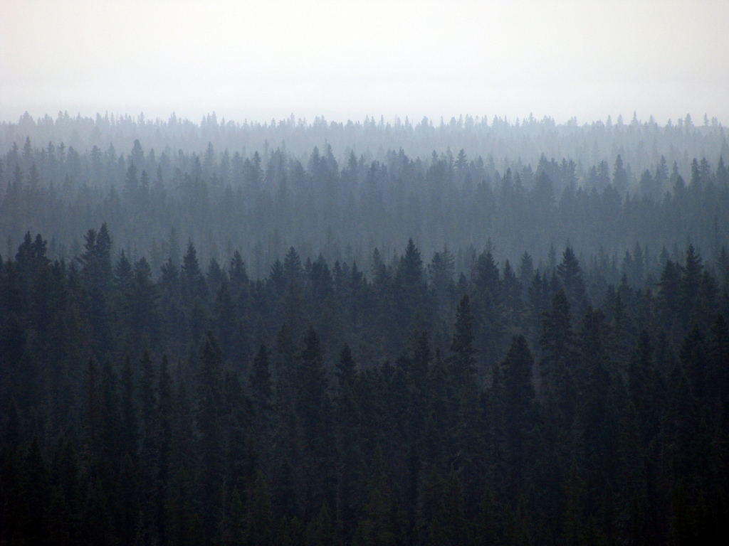 trees
