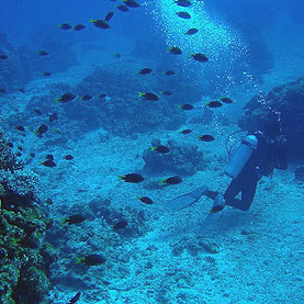 underwater