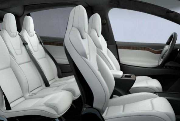 vegan-tesla-592x399